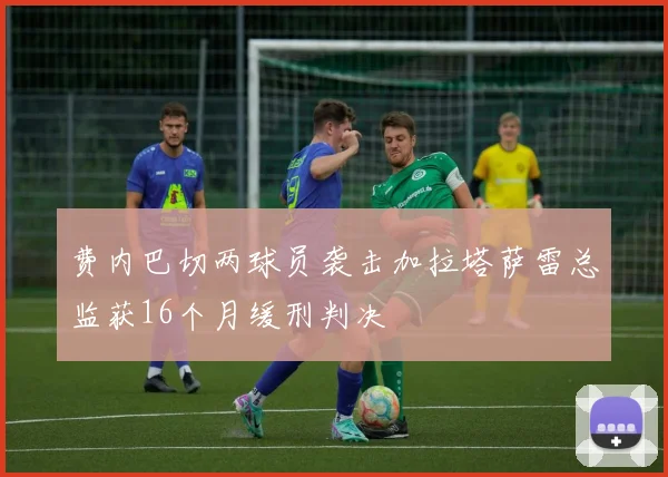费内巴切两球员袭击加拉塔萨雷总监获16个月缓刑判决